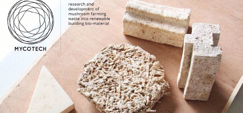1468941251-1084-champignons-mycotech-3-zoom